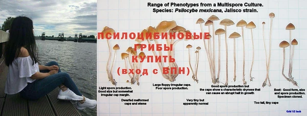 прущая мука Липки
